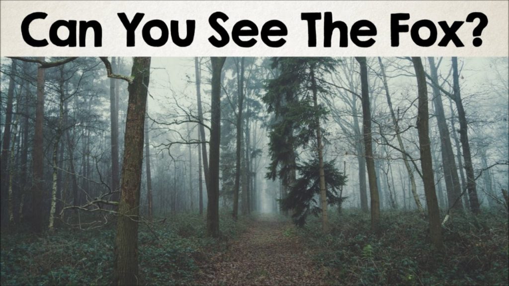 The most amazing optical illusion pictures moroccoenglish